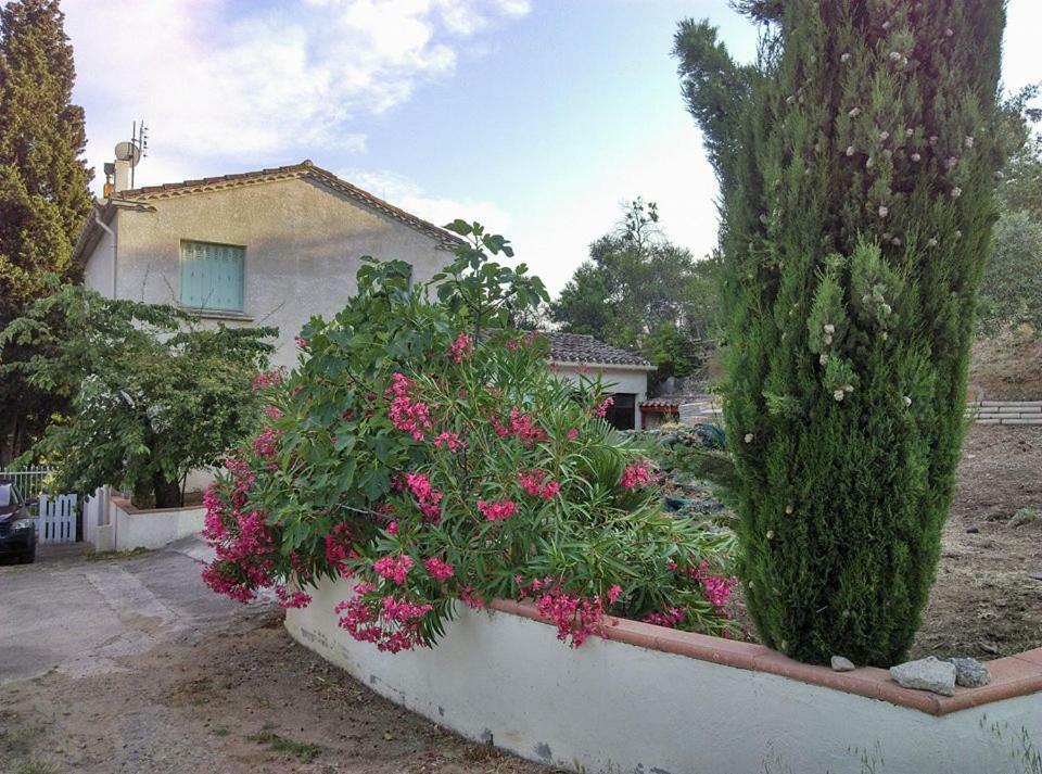 Villa Gite Avec Vue Imprenable Sur La Cite Carcassonne Exterior foto
